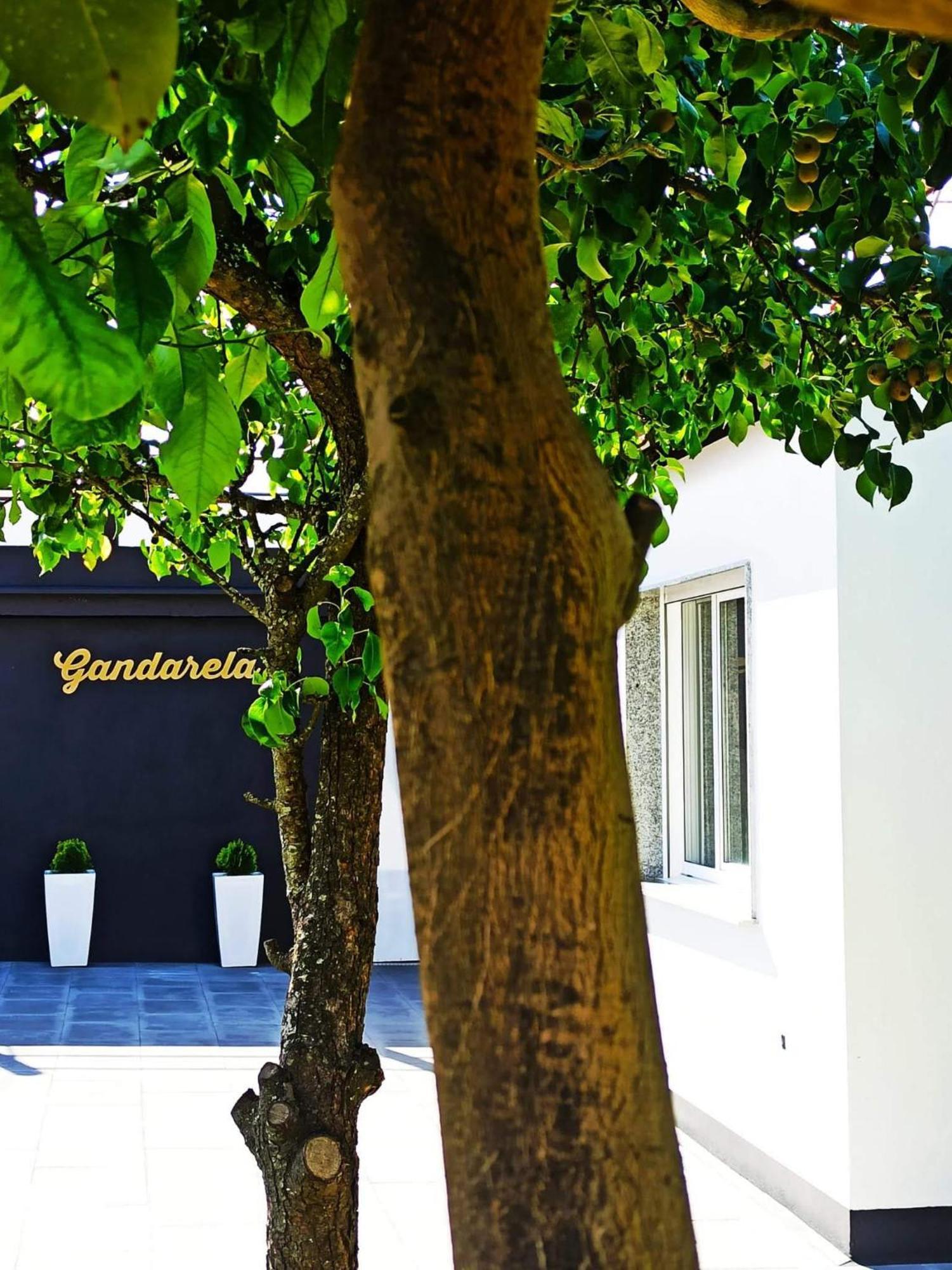 Apartamentos Vut Gandarela Sanxenxo Exterior foto